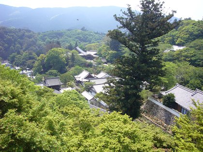 初夏の初瀬へ(1)～長谷寺_c0057946_18544823.jpg