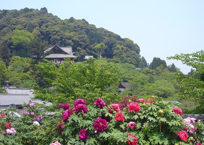 初夏の初瀬へ(1)～長谷寺_c0057946_195116.jpg