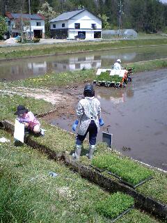 76回目、その壱～!!  田植え休み_c0083858_19463130.jpg