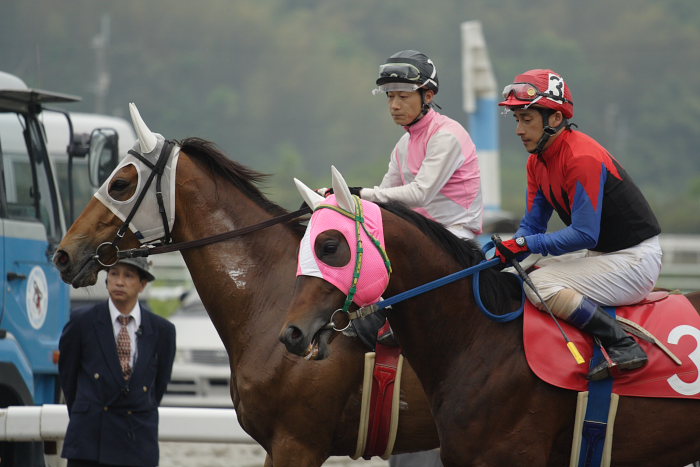 2007年5月5日（土） 高知競馬 8R 拓真高校入学記念特別_a0077663_18194449.jpg