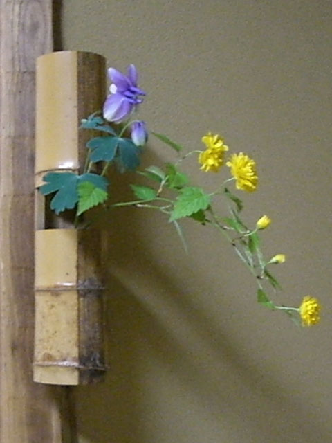 苧環 山吹 茶室の花 苧環 山吹 茶室の花