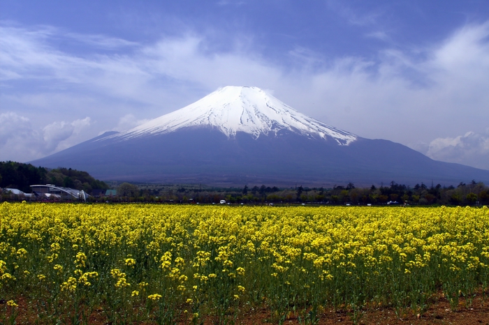 本日の富士山。_f0105478_20552653.jpg