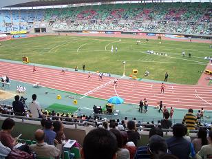 a0099285_8485414.jpg