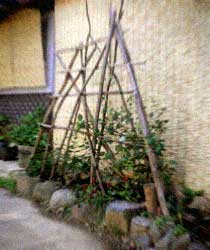 d0077603_92285.jpg