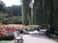 c0082711_1828522.jpg