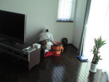 f0054411_00169.jpg