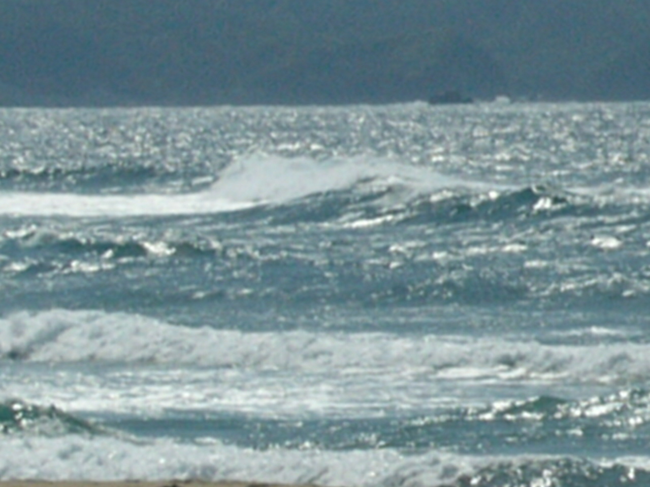 a0040929_15928.jpg