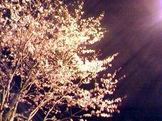 e0037129_22395078.jpg