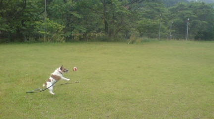 GW中のこと_c0099133_0392569.jpg