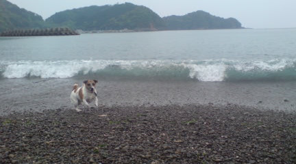 GW中のこと_c0099133_041358.jpg