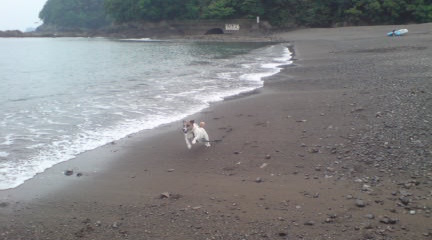 GW中のこと_c0099133_0431363.jpg