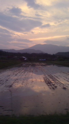 GW中のこと_c0099133_0493335.jpg