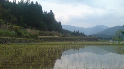 GW中のこと_c0099133_0501172.jpg