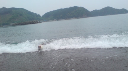 GW中のこと_c0099133_111424.jpg
