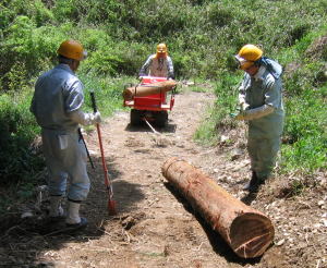 e0049740_1848051.jpg