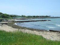 c0108460_20205930.jpg