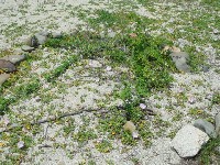 c0108460_20255871.jpg