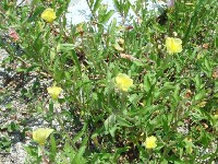 c0108460_20281360.jpg