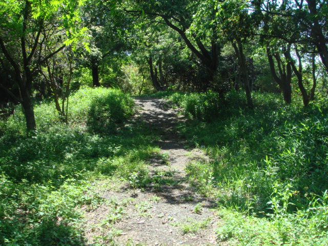 c0108460_2034293.jpg