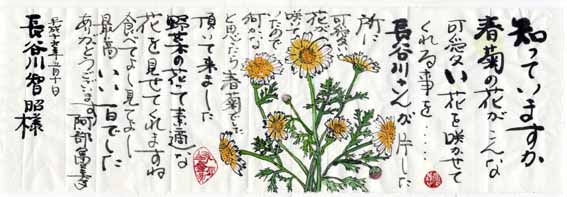 真剣 野良仕事 37 春菊の花 Discover Chiba 千葉の小さな魅力発見