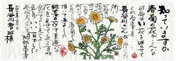 真剣 野良仕事 37 春菊の花 Discover Chiba 千葉の小さな魅力発見 真剣 野良仕事 37 春菊の花 Discover Chiba 千葉の小さな魅力発見