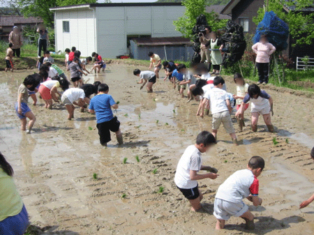 ５年生参加×田植え体験×ドロと格闘！_d0094868_19295196.gif