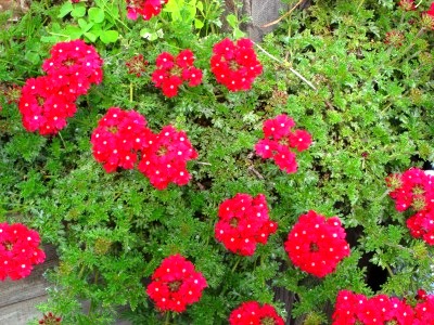 c0078480_0252624.jpg