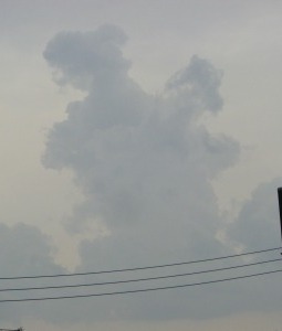 c0078480_0511297.jpg