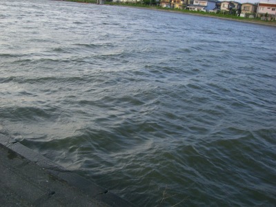 c0078480_2338079.jpg
