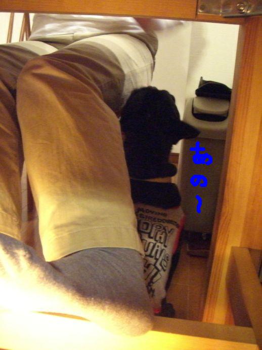c0113109_3222640.jpg