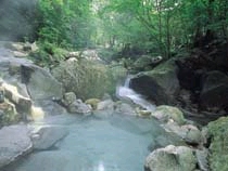 教室開放&緑渓湯苑_d0116009_12565845.jpg