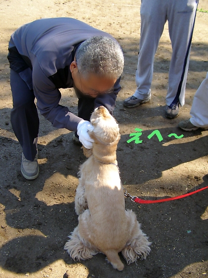 決戦！　城北訓練士協会競技会_b0067012_2242286.jpg