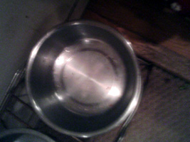 a0098418_22204390.jpg