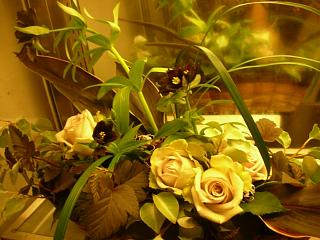 zzzz・・・_c0102228_21505723.jpg