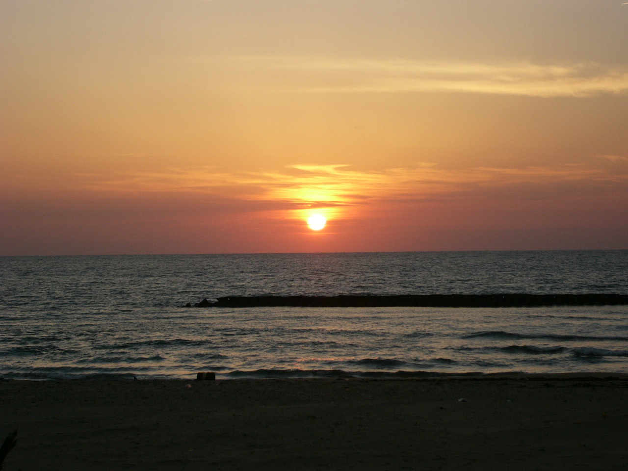 a0040929_8515495.jpg