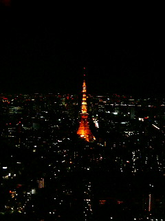 東京の夜景_a0103940_3333716.jpg