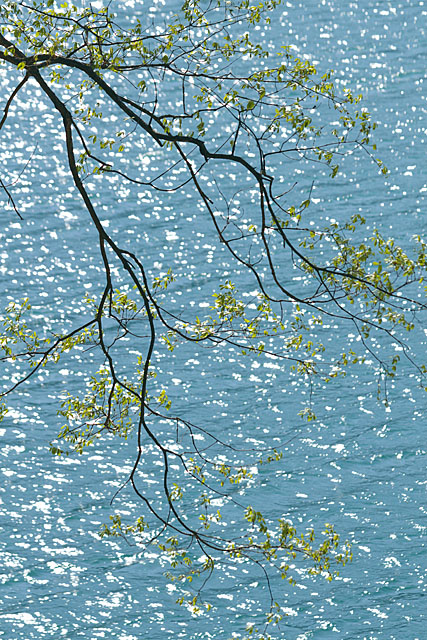 c0067040_2153730.jpg