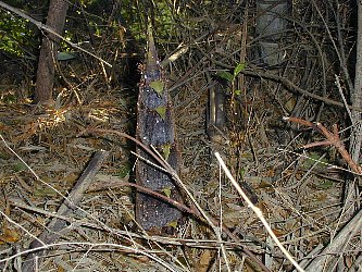 e0100043_8174671.jpg