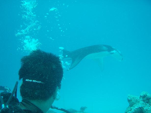 ３月６日 パラオ　３日目_c0020054_10505996.jpg