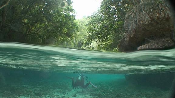 ３月６日 パラオ　３日目_c0020054_10581637.jpg