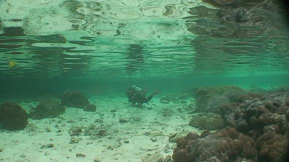 ３月６日 パラオ　３日目_c0020054_10585367.jpg