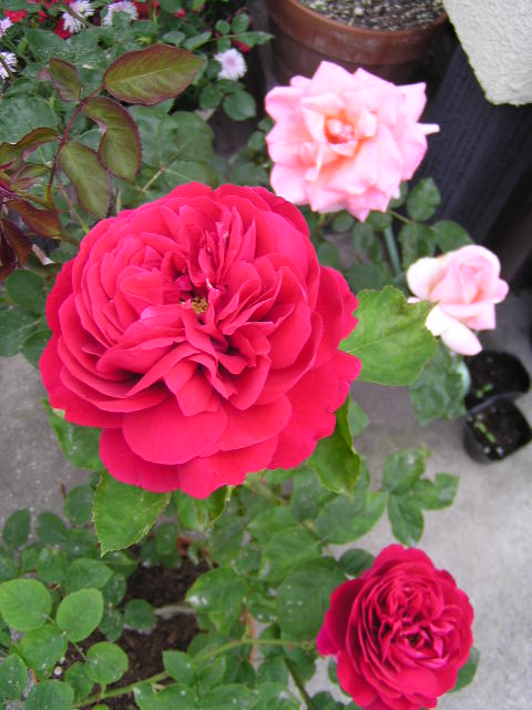 f0074659_23255677.jpg