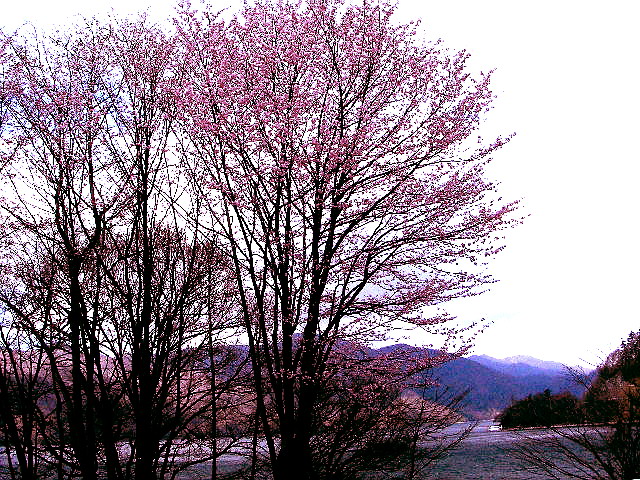 f0084561_16183094.jpg
