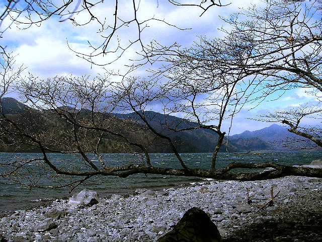 f0084561_16221619.jpg