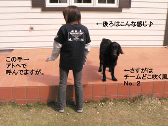 Ashiya-Dog-Walkフェチ_f0065568_21185856.jpg