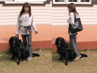 Ashiya-Dog-Walkフェチ_f0065568_2121157.jpg