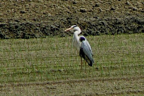 b0068572_2233382.jpg