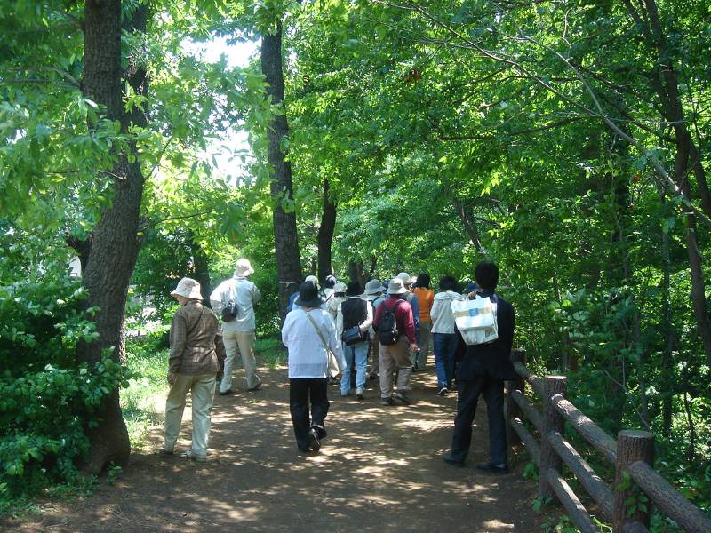 グリーンロード玉川上水自然観察会_f0059673_861481.jpg