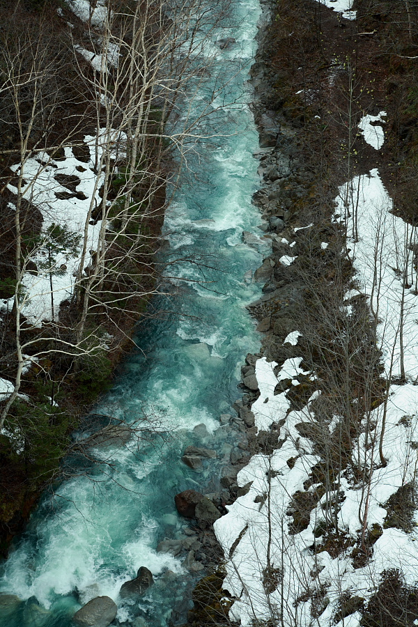a0049978_23283461.jpg
