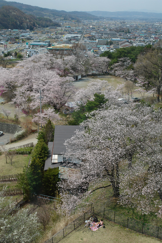 稲荷山公園 長野県佐久市 桜のある風景